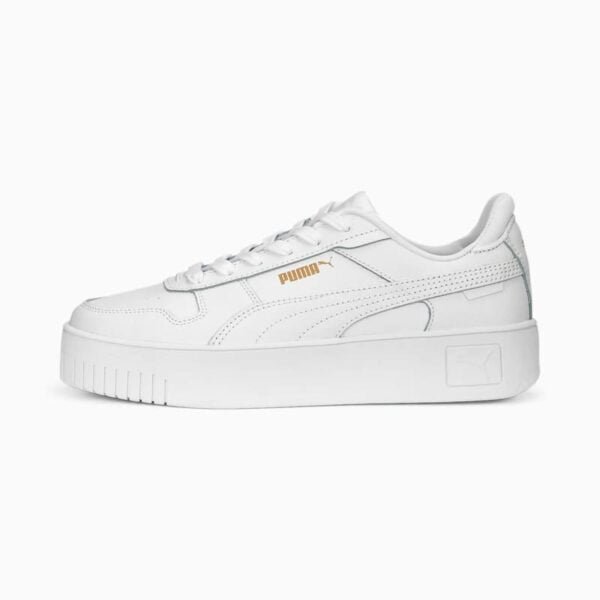 Puma Carina Street