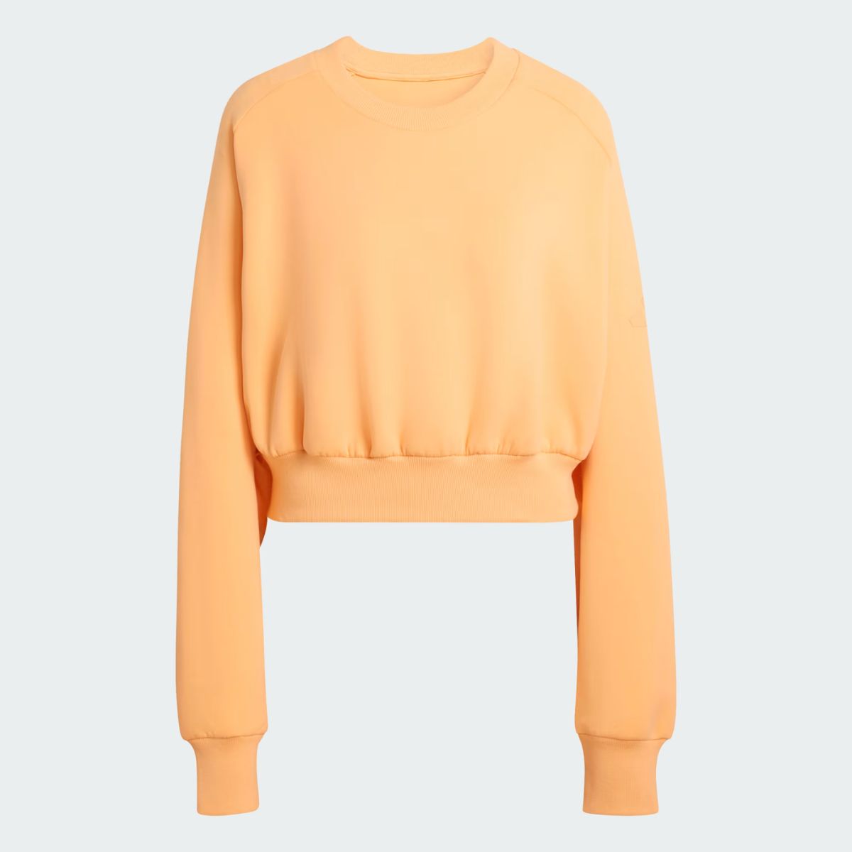 Blusa Moletom All Szn Soft Lux