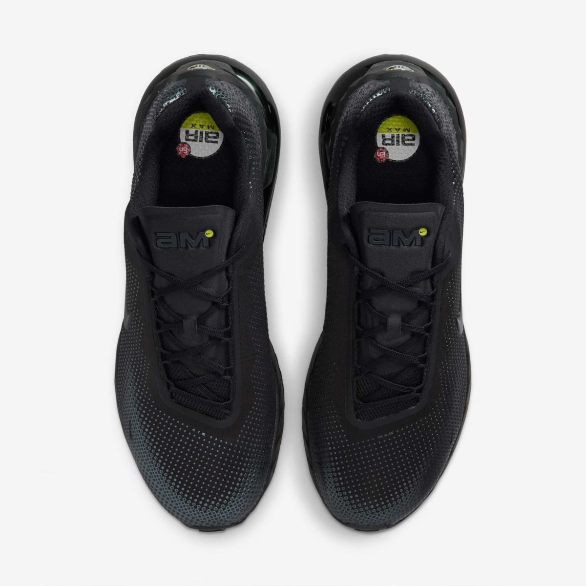 Nike Air Phoenix