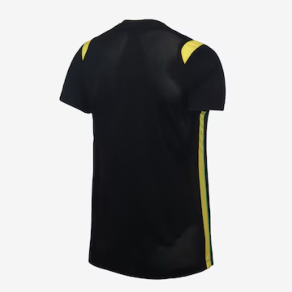 Camiseta Brasil Jordan Academy Pro 2026 Treino Feminina