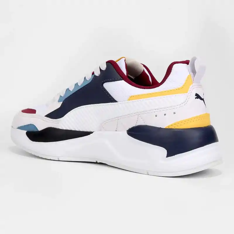 Puma X-Ray