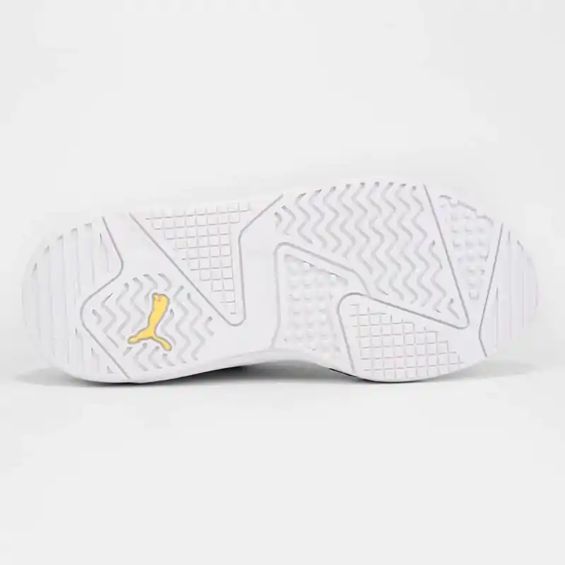 Puma X-Ray