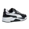 Puma X-Ray