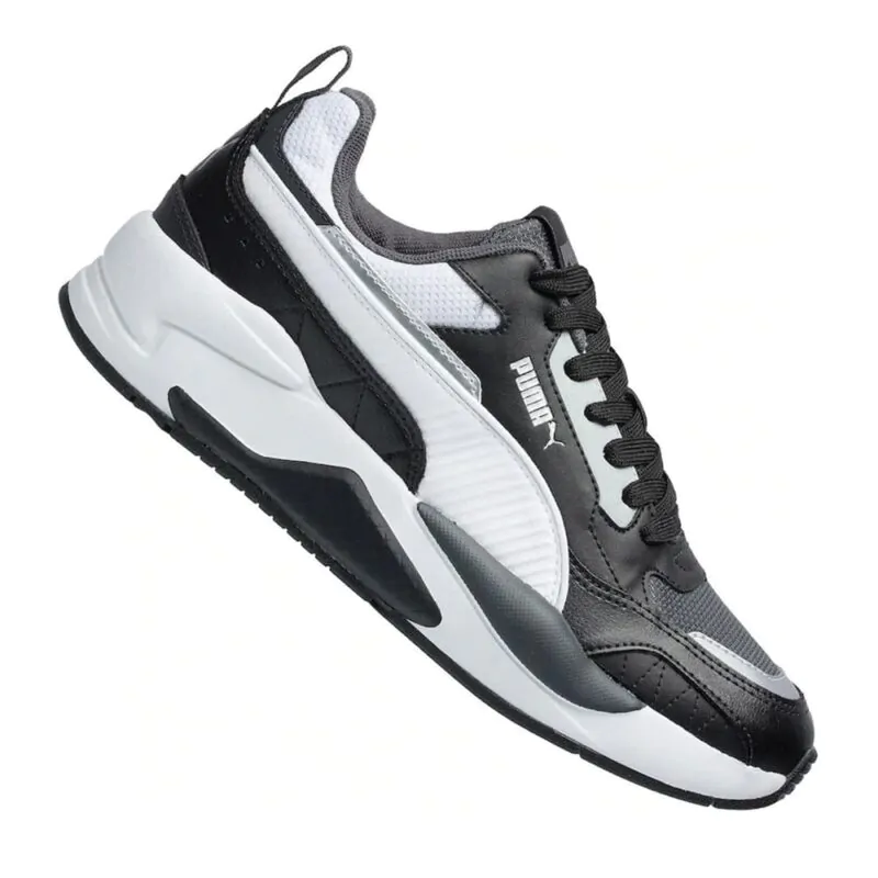 Puma X-Ray