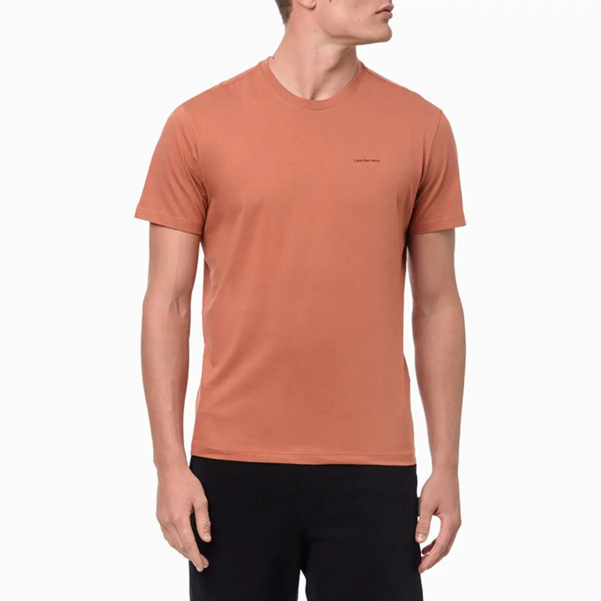 Camiseta Calvin Klein